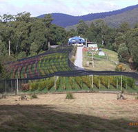 Motton Terraces - South Australia Travel