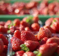 Turners Beach Berry Patch - South Australia Travel