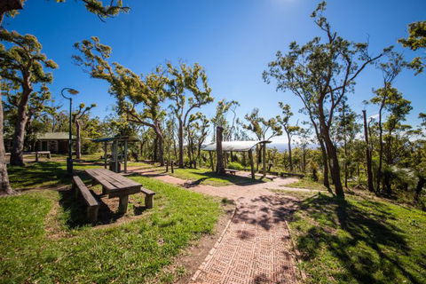 Rockhampton To Carnarvon Gorge Four Night Drive - South Australia Travel 0