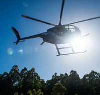 Tall Timbers Adventure Tours - South Australia Travel
