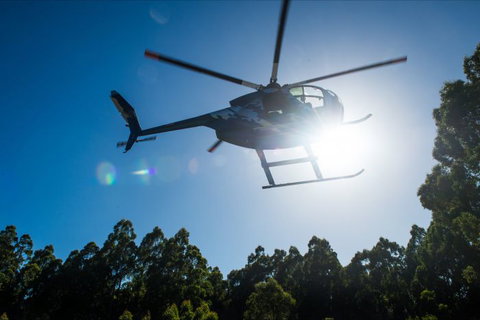 Tall Timbers Adventure Tours - South Australia Travel 6
