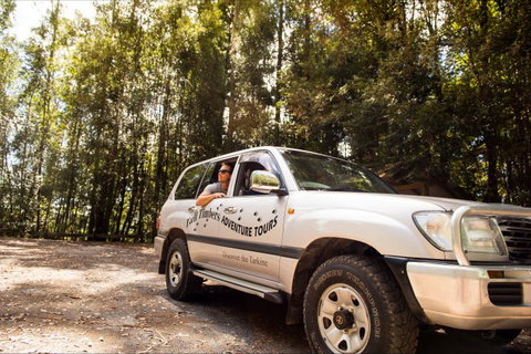 Tall Timbers Adventure Tours - South Australia Travel 11