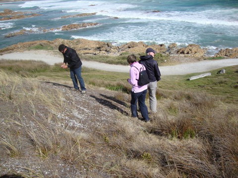 Tall Timbers Adventure Tours - South Australia Travel 12