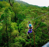 Canyon Flyer - South Australia Travel