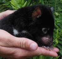 Crawn Motors - South Australia Travel