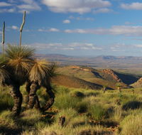4WD Aussie Outback Adventures - South Australia Travel