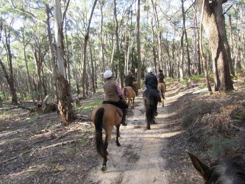 Silver Brumby Trails - South Australia Travel 0