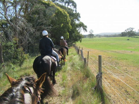 Silver Brumby Trails - South Australia Travel 1
