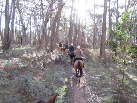 Silver Brumby Trails - South Australia Travel 2