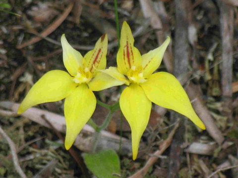 Out Of Sight Tours - South Australia Travel 30