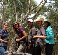 Echidna Walkabout Nature Tours - South Australia Travel