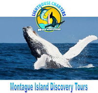 Lighthouse Charters Narooma - South Australia Travel