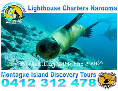 Lighthouse Charters Narooma - South Australia Travel 11