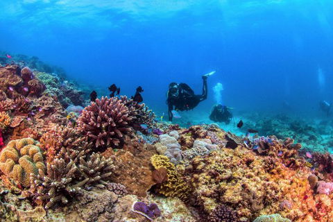 Sunreef Mooloolaba - South Australia Travel 7