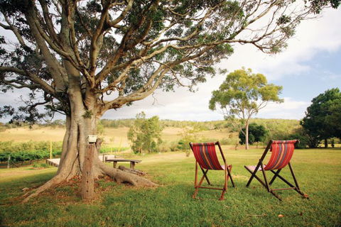 Northern Food Trail - South Australia Travel 0