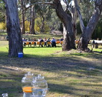 Glendale Citrus  Hazelnut Orchard - South Australia Travel