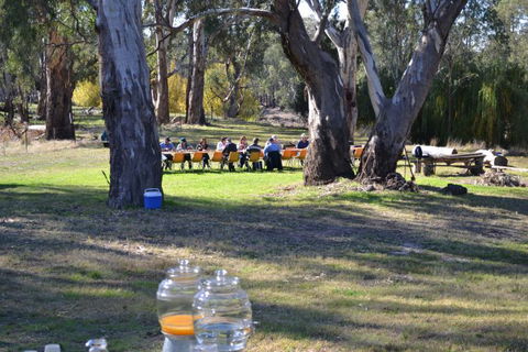 Glendale Citrus & Hazelnut Orchard - South Australia Travel 1
