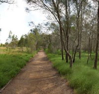 Billai dhagun Circuit Place of She-Oaks - South Australia Travel