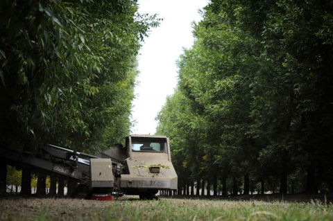 ODempseys Charters And Tours - South Australia Travel 0