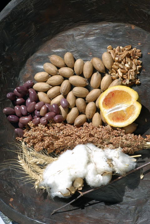 ODempseys Charters And Tours - South Australia Travel 2