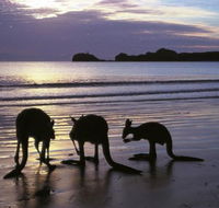 Beachcomber Cove Track - South Australia Travel