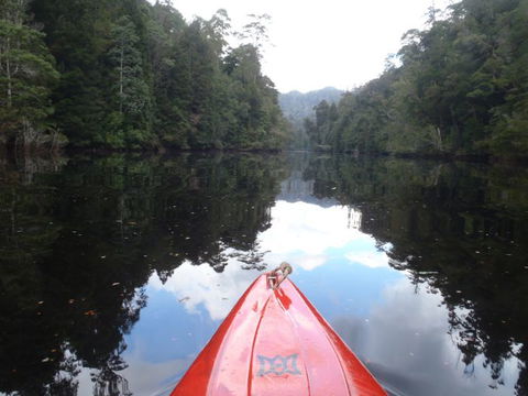 King River Rafting - South Australia Travel 1