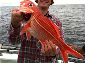 Goin' Off Safaris - South Australia Travel 1