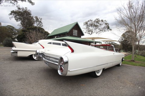 Hunter Valley Cadillacs - South Australia Travel 0