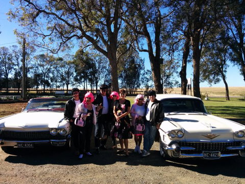 Hunter Valley Cadillacs - South Australia Travel 1