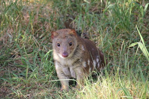 Oceania Tours And Safaris - South Australia Travel 8
