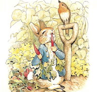 Mount Isa Civic Centre - South Australia Travel