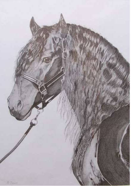 Great Lakes Art Society - South Australia Travel 0