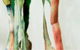 Watch This Space - thumb 1
