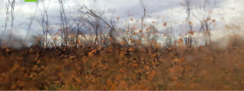 Watch This Space - South Australia Travel 2