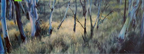 Watch This Space - South Australia Travel 3