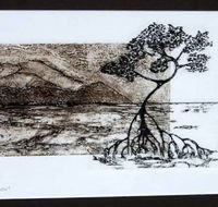 Douglas Arts Inc - South Australia Travel