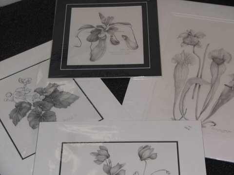 Masterpiece Framing & Gallery - South Australia Travel 2