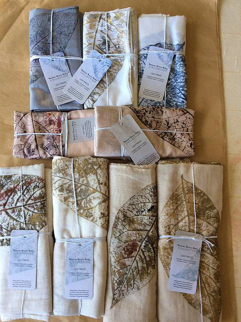 Ardleigh Cleveland Creative - South Australia Travel 0