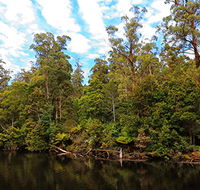 A R Reflections River Cruises - South Australia Travel