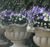 Gardenalia Open Garden and Rare Plant Nursery - South Australia Travel