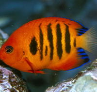Cairns Marine - South Australia Travel