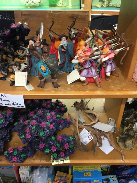 True Blue Aquariums - South Australia Travel 0