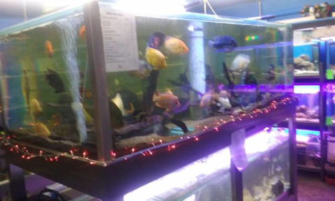Summerland Aquarium - South Australia Travel 2