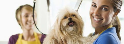 Port Stephens Pet Barn - South Australia Travel 1