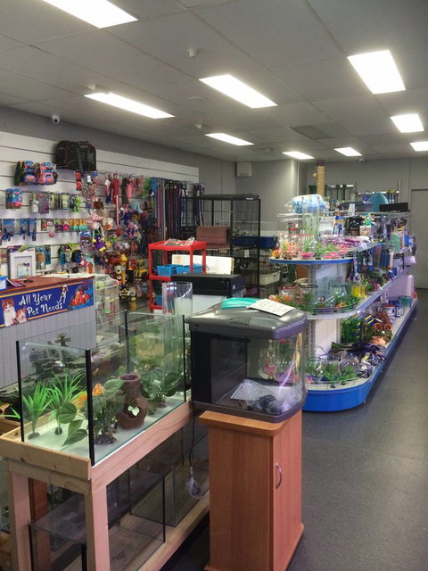 Nambour Pet Shop - South Australia Travel 0