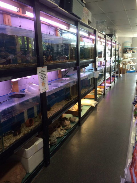 Nambour Pet Shop - South Australia Travel 1