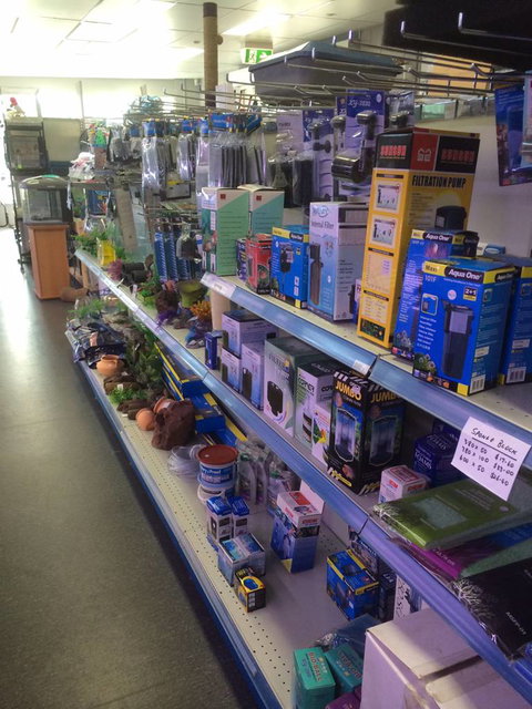 Nambour Pet Shop - South Australia Travel 2