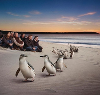 Down Under Thrills - South Australia Travel