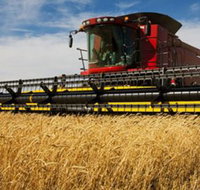 Quirindi Grain and produce - South Australia Travel