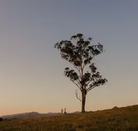 Faulls Ridge Winery - South Australia Travel